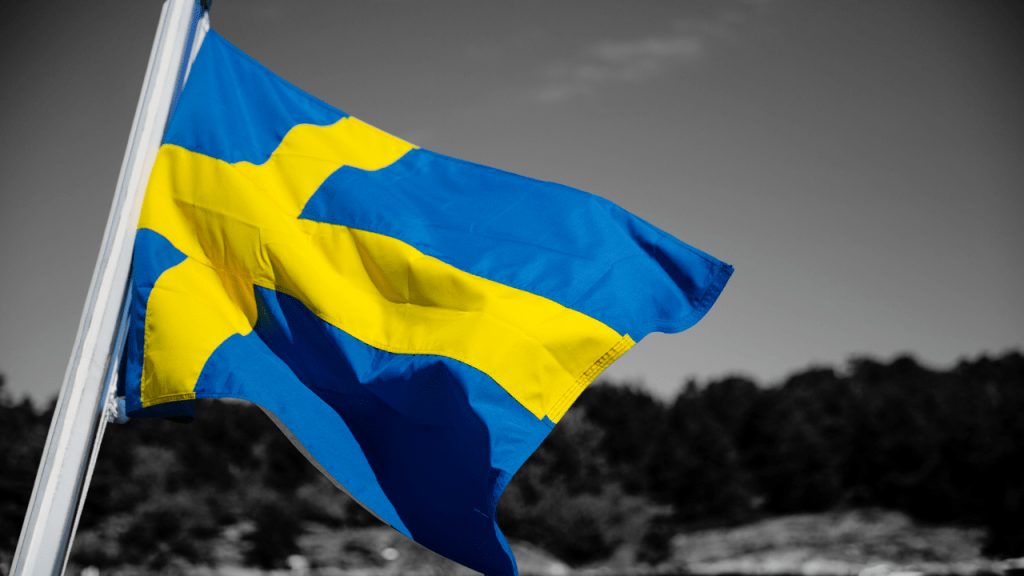 รัฐสภาสวีเดนชี้ รัสเซียอาจโจมตีสวีเดนได้ : อินโฟเควสท์